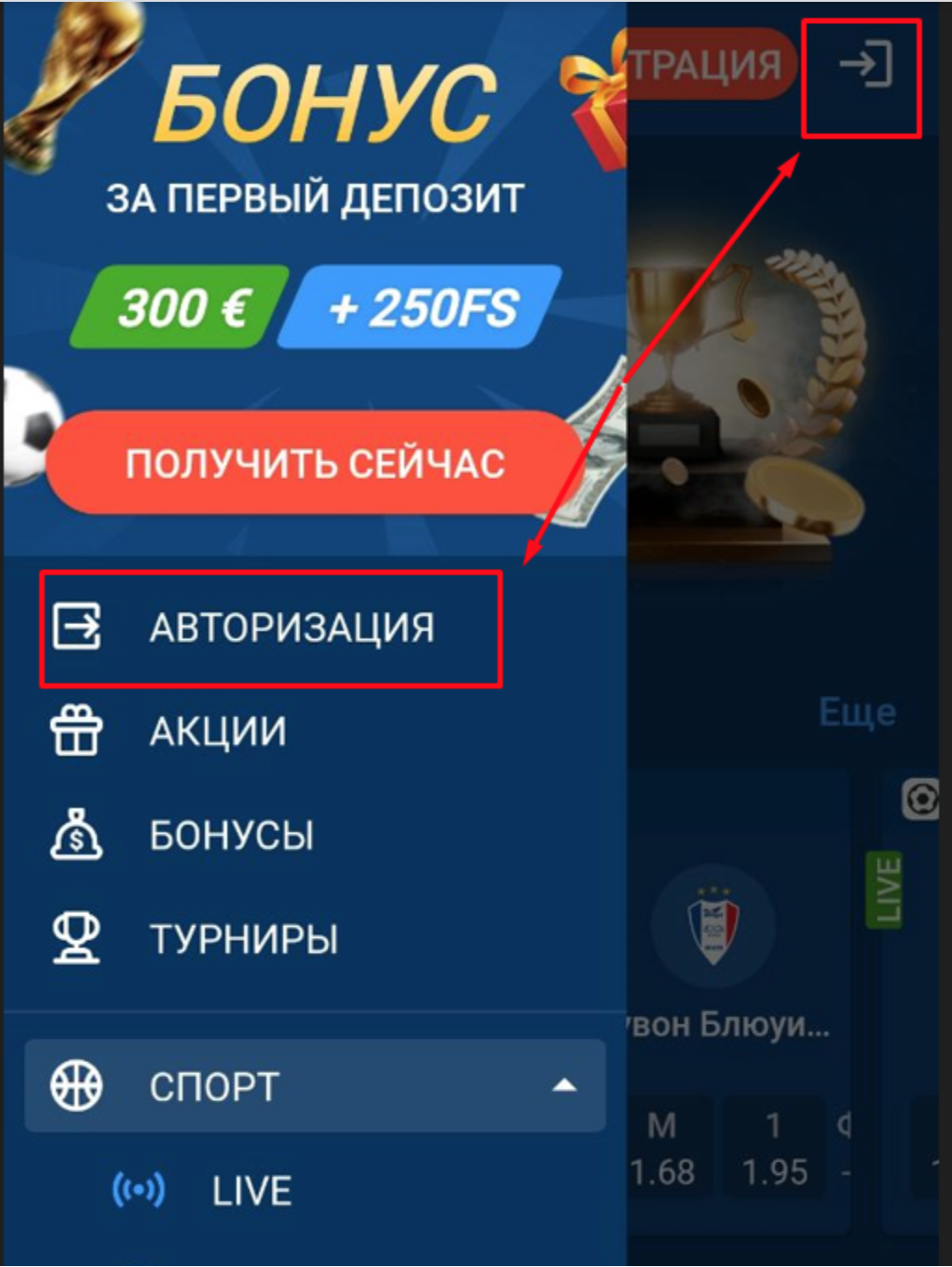 Вход в личный кабинет игрока в приложении