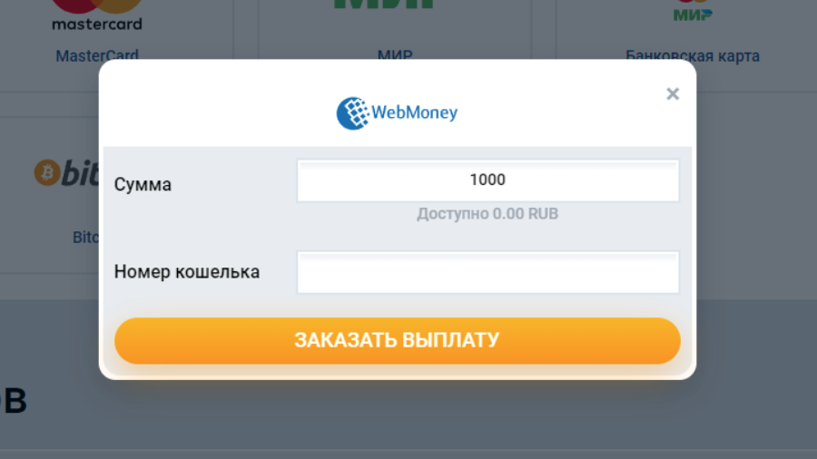 Ввод суммы платежа и реквизитов для оплаты